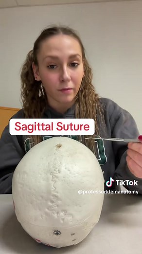 Understanding Skull Sutures in Under a Minute