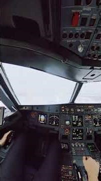 A320 IAE Landing Into Moscow! Real Cockpit View ✈️
