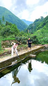 Welcome to winter Hun douhua represents a unique and endearing form of tenderness | Satia Cooking Tv