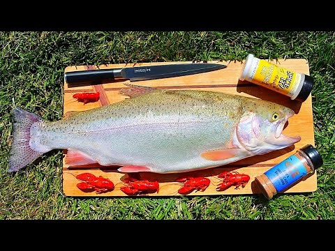 Monster Trout and Crawfish Cookout (Snake Encounter!)