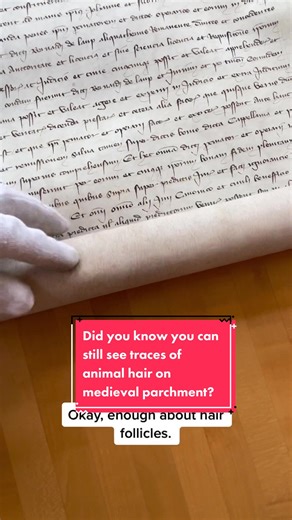 Medieval parchment often bears traces of animal hair. Little black dots on one side of a parchment leaf are often the hair follicles from the living animal. When turning animal hide into parchment, the parchment maker used a large blade to scrape off as much of the hair as possible. But traces of the hair follicles frequently remained. Skilled parchment makers could produce very fine leaves with few traces of hair follicles, but these sheets were often more expensive and sold for more precious m