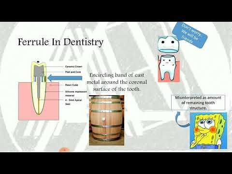 Ferrule and Ferrule Effect. Understanding the concept.