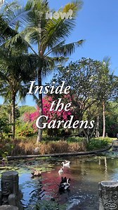 18 reactions | Lush and bursting with colour, the gardens of what was...