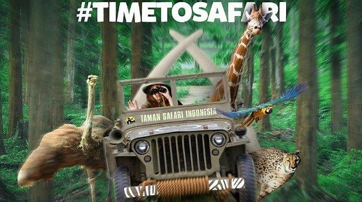 Asyiknya Safari Trek, Pengalaman Seru Menyusuri Alam Terbuka di Taman Safari Bogor - Tribun Travel