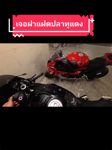 นานๆจะได้เจอปลาทูแดง 🥰 #bmw #fyp #s1000ดิว่ะ
