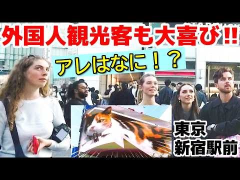 😮日本の広告はどうなってるの！？新宿駅前の3Ｄネコさんに外国人観光客もビックリ！！大型ビジョンに映し出される猫に驚嘆の声をあげる外国人観光客【東京】【新宿】【外国人観光客】