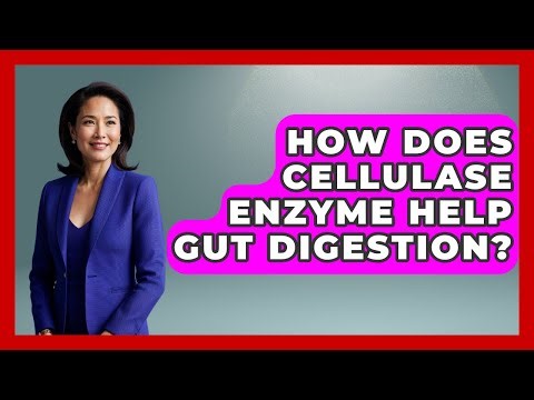 How Does Cellulase Enzyme Help Gut Digestion? - Gut Wellness Central