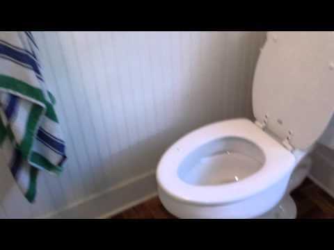 Bathroom tour: Crane Plumbing toilet at Ashworth Cottage