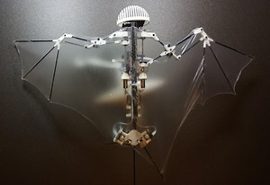 Bat Bot drone able to mimic real bat flight