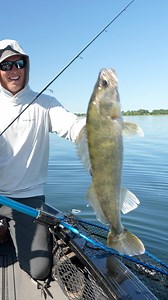 The Devils Lake Basin has so many great walleye fishing opportunities. We join @alexreslock to spill the entire playbook for catching big fish this weekend on JMO Television. Mud summer timber patterns that incorporate Active Target 2 and surgical casting with Northland Tungsten Stand Up Jigs and bait. Watch on FanDuel Sports North on Sunday at 9:00 am. #jasonmitchelloutdoors #devilslake #walleye #walleyefishing | Jason Mitchell Outdoors Television