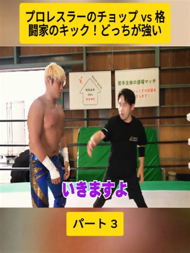 プロレスラーのチョップ vs 格闘家のキック！どっちが強い！？🔥👊 #3 #白川竜次 #矢地祐介 #合気道 #YusukeYachi #武道 #martialarts #japan #foryoupage❤️❤️ #fyp #videoviral