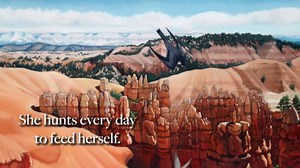 Item in good condition. Textbooks may not include supplemental items i.e. CDs, access codes etc...