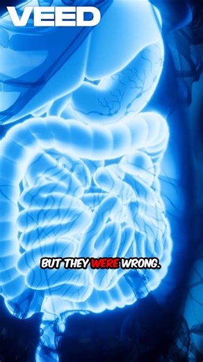 Your Appendix is a Safe House (Not Useless)