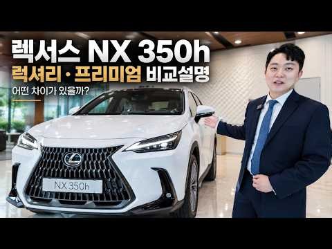 간단하게 알아보는 렉서스 NX350h 럭셔리 / 프리미엄 옵션 비교