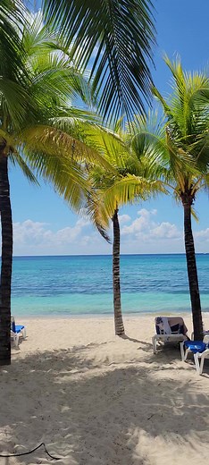 Best Hotels in Cozumel 2023: Allegro Cozumel & Barcelo Paradise