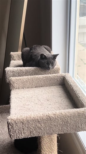 Stormy&Twix on TikTok