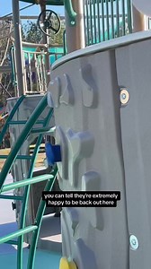 56K views · 5.7K reactions | The exact moment we set Bella free at our house. She did play outside at her previous home but this is a big deal because she is now at her new home with her siblings so its always a little scary letting them go not knowing for sure what they will do. She done excellent and had the best time冀 | Our Life Adventures | Facebook