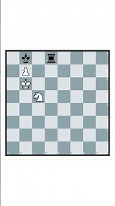 The Real Beginner's Guide to Chess #97