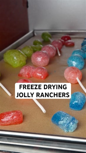 Do Jolly Rancher Freeze Dry?