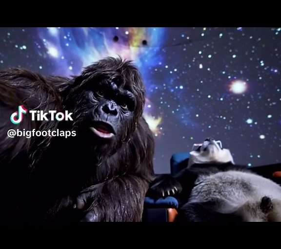 Exploring Bigfoot Sightings: Unusual Encounters