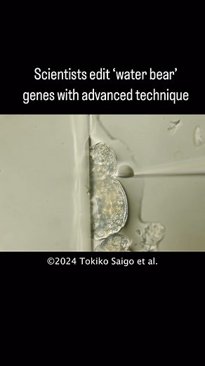 Popular Science | Tardigrades, the ultra-resilient microscopic animals, have gone under the knife. Their genes have, at least. Scientists used an advanced... | Instagram