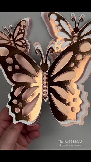 I love working with foil board, especially for Butterflies. It adds such a beautiful touch! ⁠ ⁠ #butterflies #3dbutterflies #butterfly #butterflywall #wedding #paperflowers #birthdayparty #diy #graphicdesign #paperbutterfly #craft #art #cricut #silhouettecameo #nurserydecor #homedecor #walldecor #svgfiles #cricutmadecrafts #cricutcreated #makersgonnamake #cricutjoy #mariposa #weddinginspiration