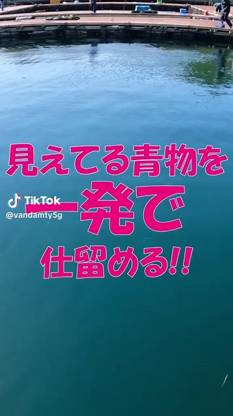 秒でアワセ!!アタリ～アワセまで１秒⁉️ #穴釣り #fishinglife #釣り #fyp #ヤマメ釣り