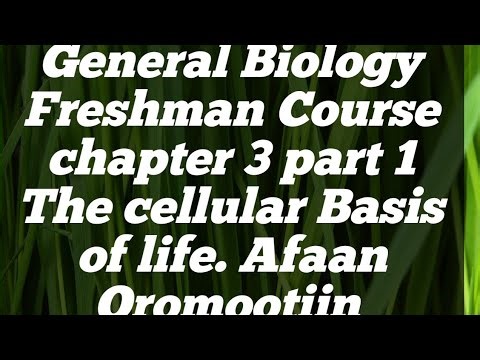 General Biology Freshman Course chapter 3 part 1 Afaan Oromootiin