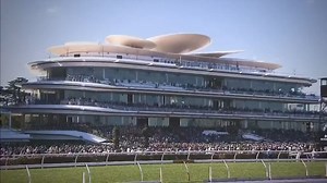 29 reactions | Who's excited for Turnbull Stakes Day? ‍♂️ Catch all the action live on Racing.com  | Racing.com | Facebook