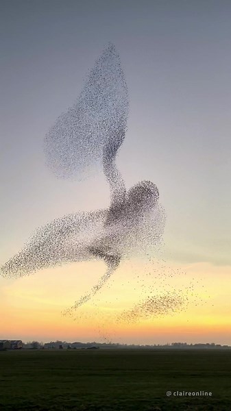 claireonline op TikTok