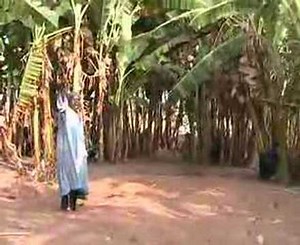 Danse traditionnelle du Nord Bénin