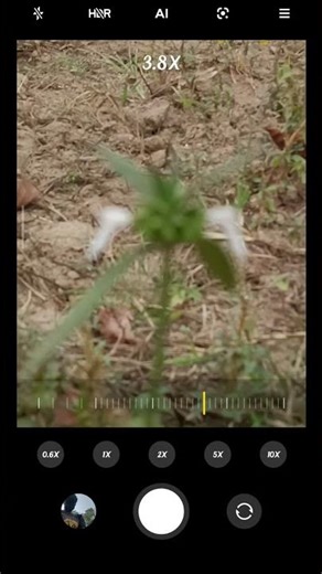 Poco f3 gt camera zumming tast you tube# viral #shot# video