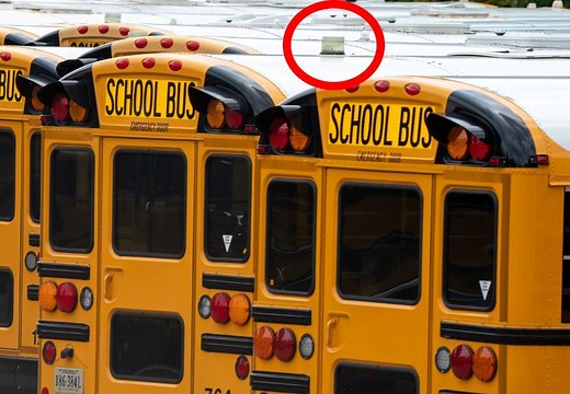 Why do some school buses have white strobe lights in Pennsylvania?
