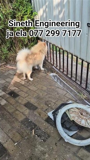 sineth Engineering #engineering #washingmachine #service #jaela #repairing #nearme #colombo