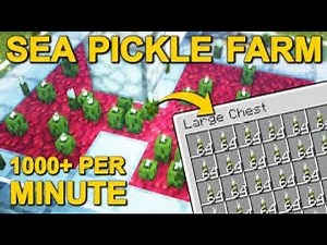 How to make a sea pickle farm on the donut SMP 70,000 sea pickles an hour