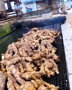 8.8M views · 10K reactions | Satisfying scenes inside food factory  | DIY Panda | Facebook