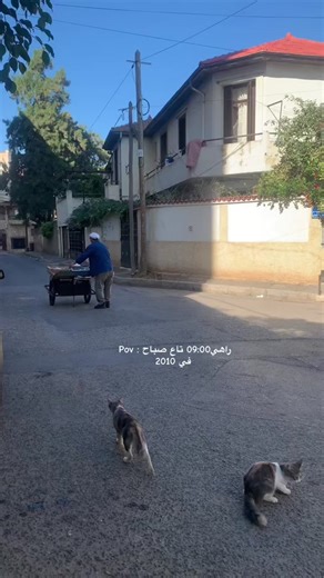 Traditional Algerian Morning Routine in 2010