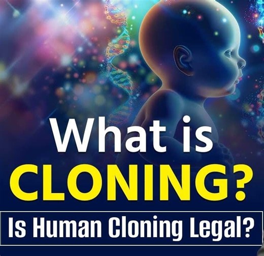 Drishti IAS English on Instagram: "Cloning Explained | Types of Cloning and Their Significance in Science | UPSC | Drishti IAS English #Cloning #Science #TypesOfCloning #UPSC #ReelsIndia #DrishtiIAS #DrishtiIASEnglish"