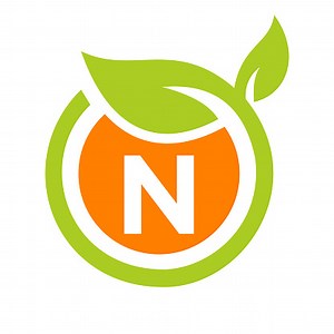 Eco Leaf Logo Icon Design Vorlage auf N Letter Konzept