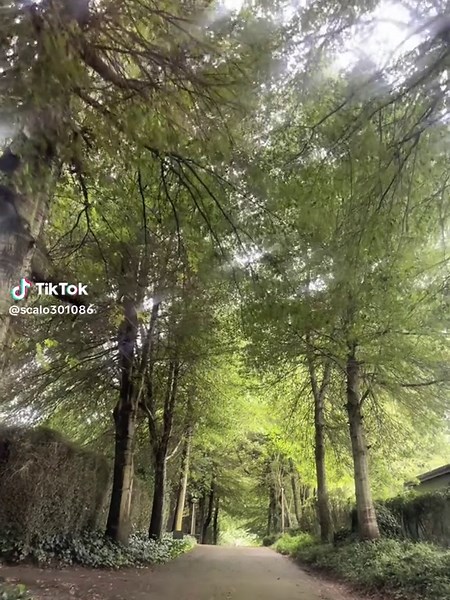 Random snaps, because we can! #CapCut