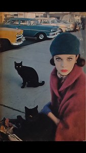 | | | | | | #suburbia #dreamy #1940s #goth #kinks #1960s #psych #psychedelic #horror #monster #punk #blackcat #trippy #horrormovie #mcm #aiart #lofi #scifi #midjourneyart #midjourney | Geddy Ruxpin