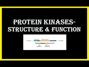 Protein kinases: Structure & Function