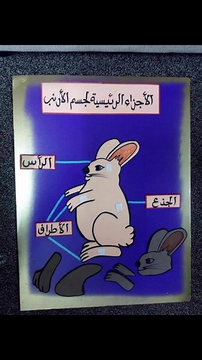 إشراك الطلبة في العملية التعليمية شيء مهم وضروري لترسيخ المعلومة وتوظيفها في ذهن الطالب ومن خلالها قامت طالبات الصف الأول (ب) بلصق الاجزا ء الرئيسية للنبات والحيوان في المكان المخصص لها | أكاديمية ثلاثية الذكاء الدولية Triple International IQ Academy | Facebook