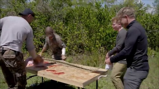 Le chef Gordon Ramsay chasse un python... et le cuisine !