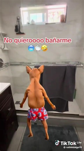 nomekiero vaña