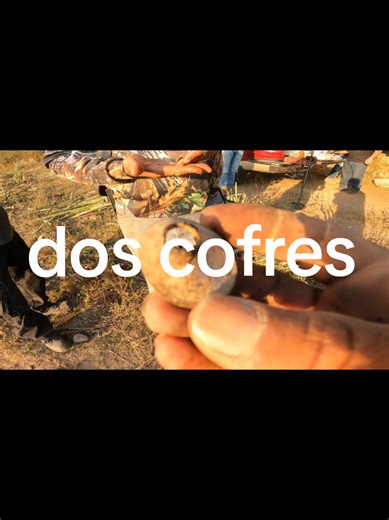 DOS COFRES #LIVEIncentiveProgram #LIVECareer #PaidPartnership