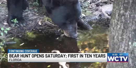 Florida opens first bear hunting season in decade