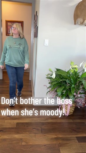 Don’t bother the boss when she needs a nap!💤 we can all relate! #bossy #fyp