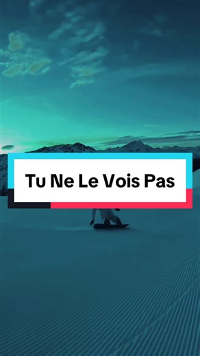 Tu ne le vois pas - Gims feat Dadju #gims #dadju #lyrics_songs #chanson #snowboard Paroles : Et je t'ai donné bien plus que ce qu'il fallait J'me suis bagarré contre vents et marées J'l'ai fait pour toi Tu ne le vois pas Oui, je t'ai donné bien plus que ce qu'il fallait J'me suis battu contre tous ceux qui parlaient J'l'ai fait pour toi Mais tu ne le vois pas Et, si on en est là, c'est de ma faute Et j'n'aimerai personne d'autre J'ai fait une bêtise qu'il faut pardonner Et, si on en est là, c'es