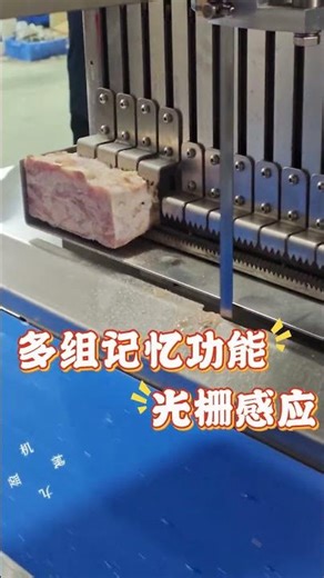 九盈机械全自动锯骨机冻肉切片，适用各类冷冻肉、牛排羊排、冻鱼等锯切 Fully Automatic Bone Saw Machine – Frozen Meat Slicing